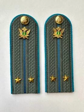 Погоны ФССП с фурнитурой серые звание Лейтенант картон 14х4,5см с Голубым кантом