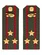 Погоны МО Танковые войска зеленые звание Полковник Картон