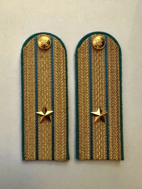 Погоны ФССП парадные золотые с фурнитурой звание Майор Картон 13см