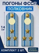 Погоны ФССП с фурнитурой звание Полковник картон 14см цвет голубой