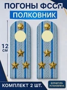 Погоны ФССП с фурнитурой звание Полковник картон 12см цвет голубой
