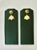 Погоны Росгвардии ФСВН 13,5 см КАРТОН звание Рядовой цвет сосна зеленая