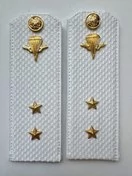 Погоны ВДВ с фурнитурой белые Прапорщик ПЛАСТИК