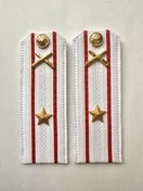 Погоны МО РВиА белые звание Майор ПЛАСТИК