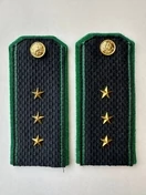 Погоны Пограничной службы ПС ФСБ в сборе картон на китель Старший прапорщик 12см