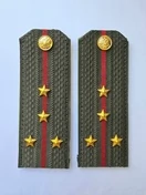 Погоны МО общевойсковые на китель звание Капитан ПЛАСТИК