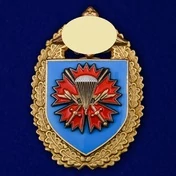 Нагрудный знак "45-й отдельный гвардейский разведывательный ордена Александра Невского полк специального назначения ВДВ"