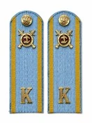 Погоны Курсант Полиции 13см КАРТОН в сборе с фурнитурой