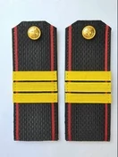 Погоны Морской пехоты Сержант ПЛАСТИК галунные