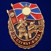 Сувенирный знак За службу в ФСБ №2893