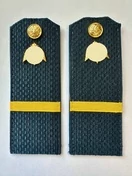 Погоны Росгвардии ФСВН 13,5 см ПЛАСТИК звание Ефрейтор цвет темно-синий галун