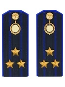 Погоны ФСБ на куртку цвет синий ПЛАСТИК, звание Полковник 14х5,5см