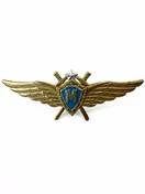 Нагрудный знак Классность ВВС, ВКС Мастер